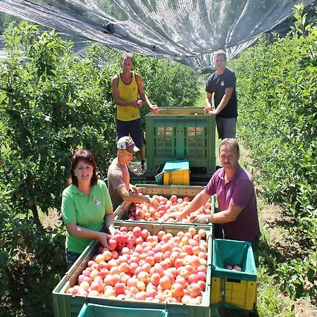 Obst&gästehof Brandl *
