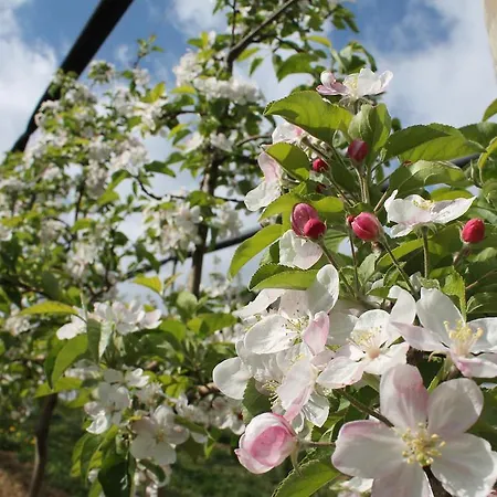 Bauernhof Obst&gästehof Brandl Hartmannsdorf