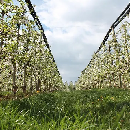 Obst&gästehof Brandl
