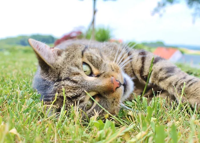 Séjour à la ferme Obst & Gaestehof Brandl *