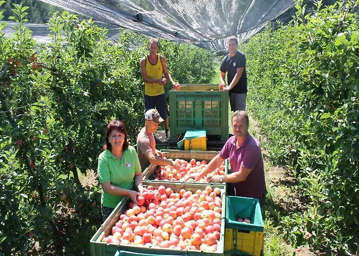 Obst & Gaestehof Brandl *