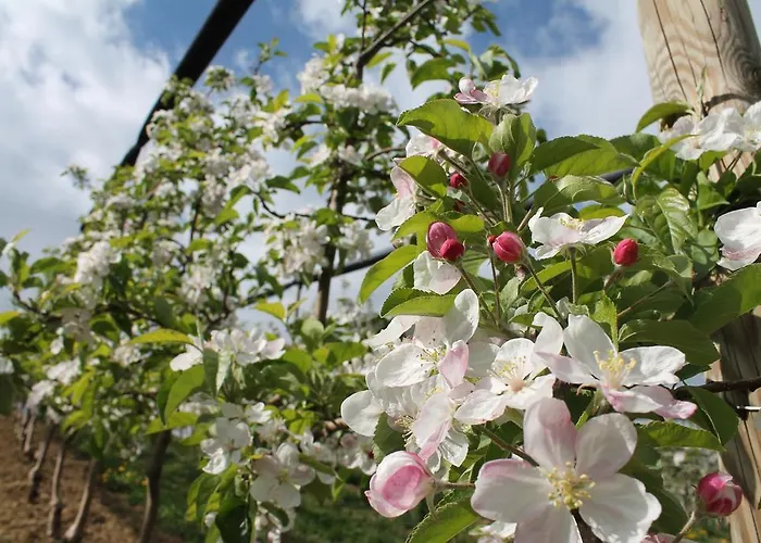 Lantgård Obst & Gastehof Brandl Hartmannsdorf