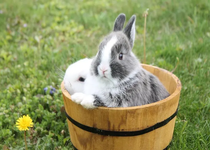 Obst & Gaestehof Brandl * Hartmannsdorf